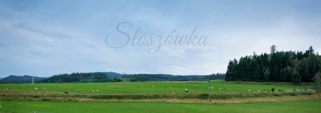 Słoszówka Duszniki Zdrój Kültér fotó